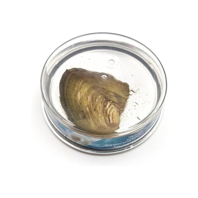 Pearl Essence™ - Pearl Necklace Giftset